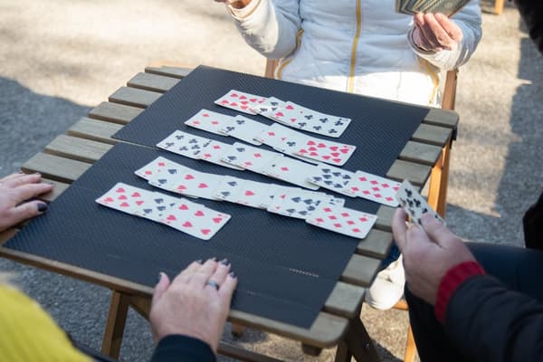 Forty Thieves - 1 players