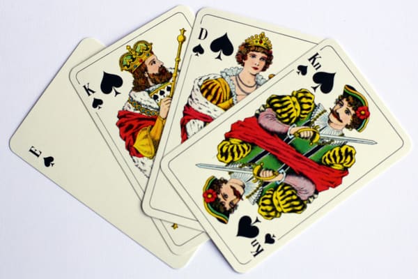 Skitgubbe - 2-4 joueurs